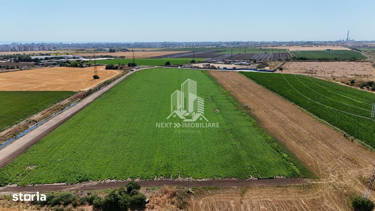 Teren extravilan 28.405mp Poiana - Imagine principală: 4/4