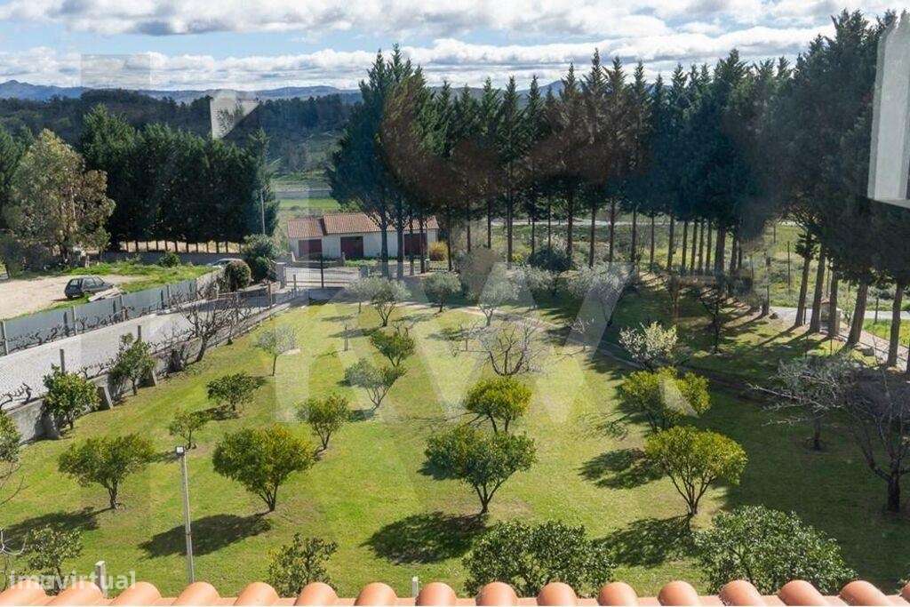 Fantástica Quinta com casa encantadora em Belmonte-47