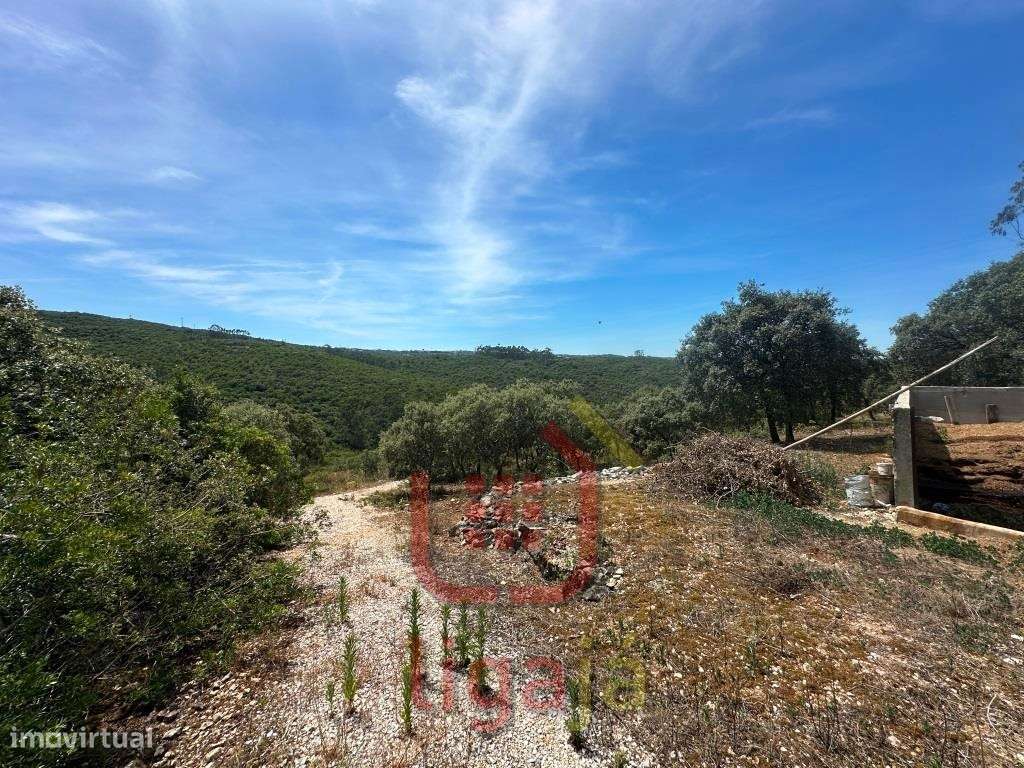 Armazém Industrial/Agropecuário com 9.700 m² de Terreno | Entre Our...-11