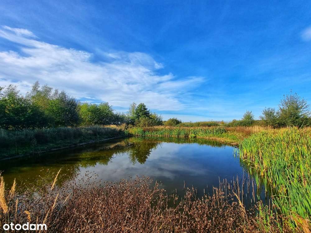 Działka bud| 36,82 ar| War. Zab. | Suszno |Włodawa-5