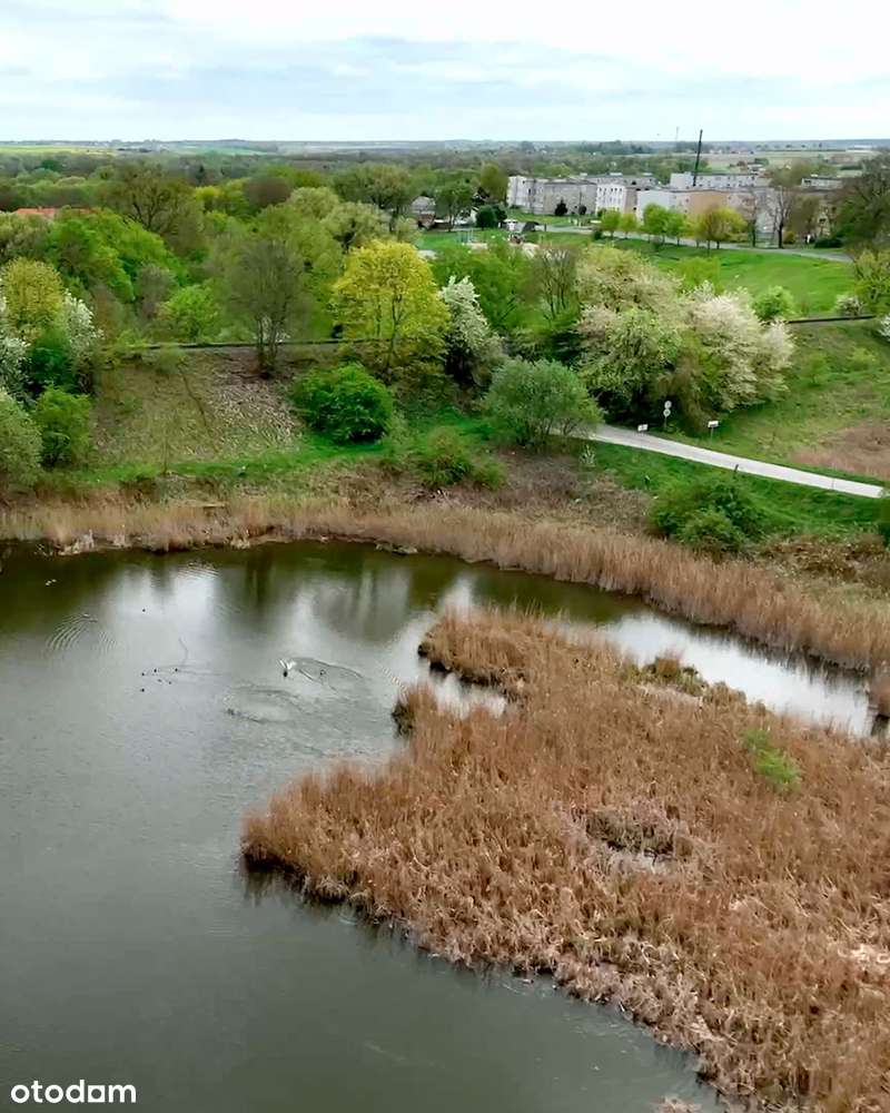 Działka 1,13 ha z warunkami na dwa warianty zabudowy i przyłączami!-7