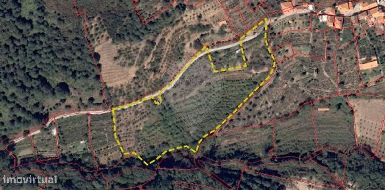 Terreno  para venda - Grande imagem: 2/8