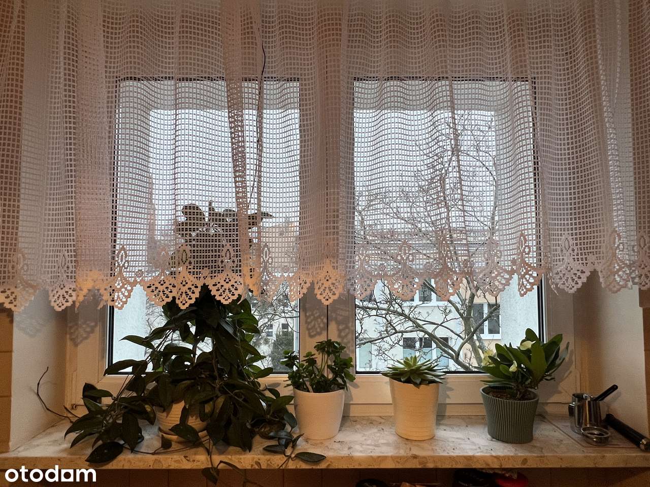 Kawalerka z pięknym widokiem w zielonej części Łazarza ul. Lodowa-14