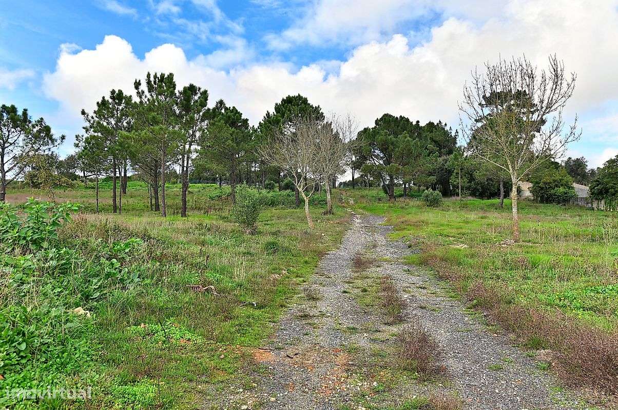 Armazém  para venda-9