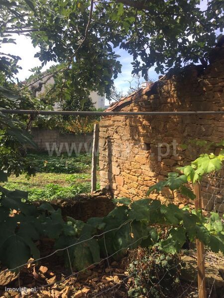 Terreno com ruina / Fundão, Souto da Casa