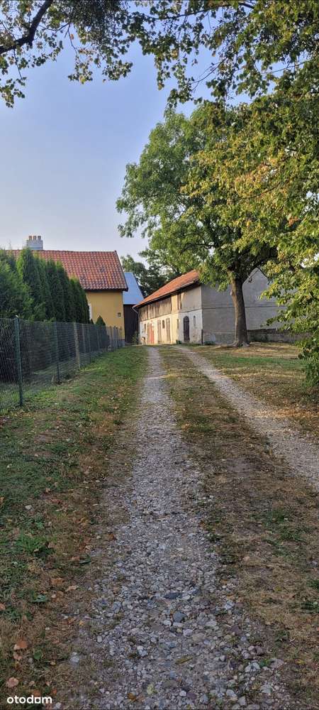 Sprzedam dom wolnostojący w Silcu, siedlisko niedaleko jeziora - Pełny obrazek: 4/20