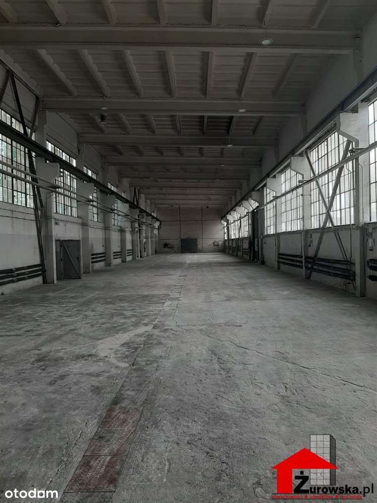 Lokal użytkowy, 74 000 m², Gliwice - Pełny obrazek: 4/15