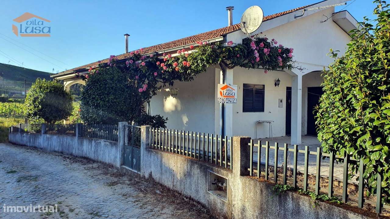 Quintinha em Amarante: Vinha, Vistas, Natureza e Acessibilidade - Grande imagem: 2/22