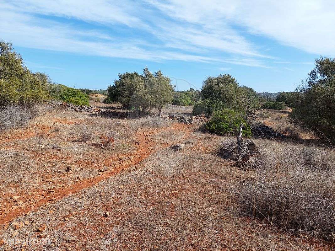 Terreno  para venda - Grande imagem: 4/26