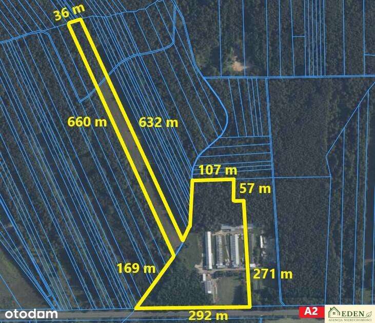 Ferma drobiu na sprzedaż, bezpośrednio przy A2-0