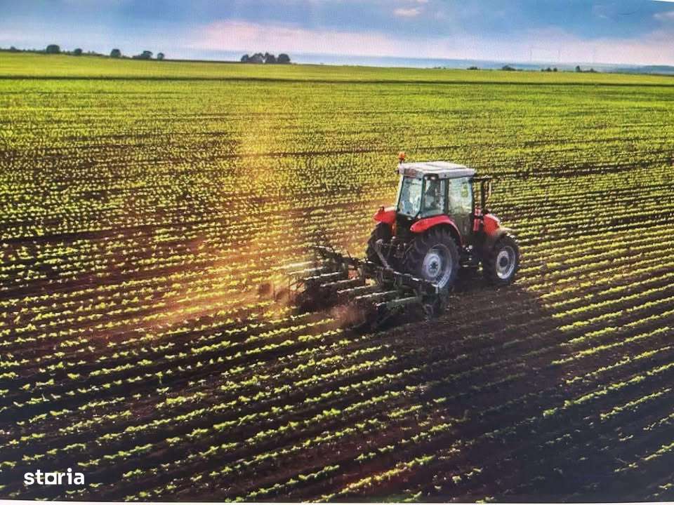 Teren agricol,Iasi,Comuna Romanesti-0