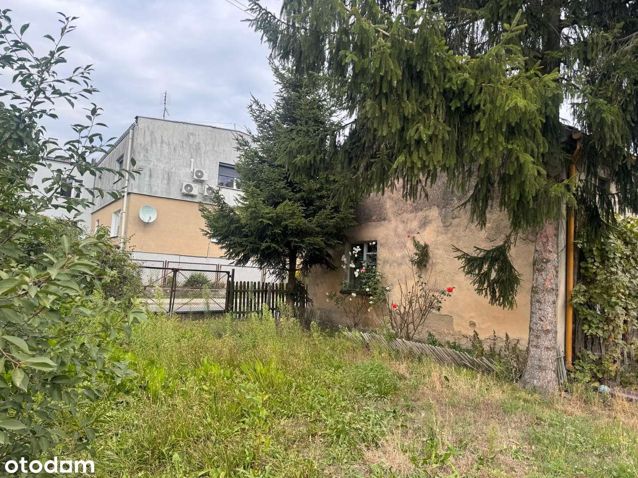 Dom jednorodzinny, duża działka-1