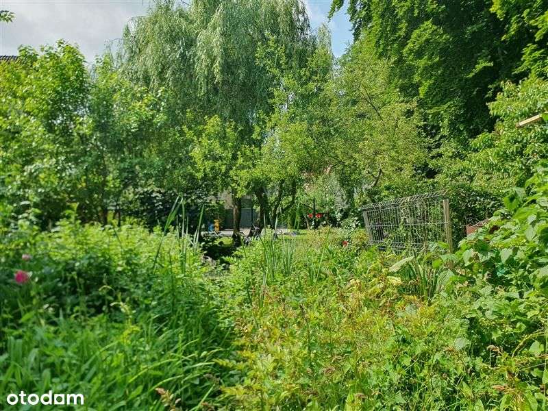 Dom wolnostojący - Gdańsk Wrzeszcz-5