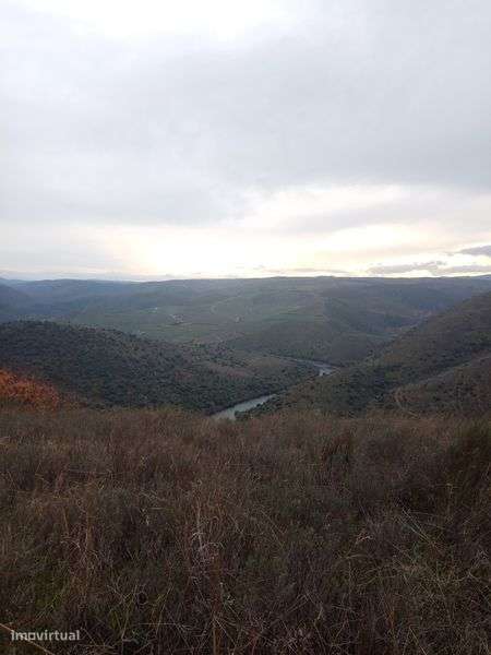 Terreno de 0,460 hectares - Grande imagem: 4/5