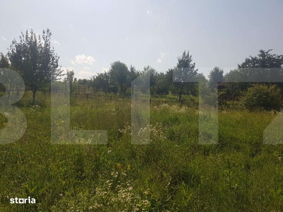 Teren intravilan Campenesti, 11600 mp, 43 ml front, pentru ansamblu de - Imagine principală: 2/3