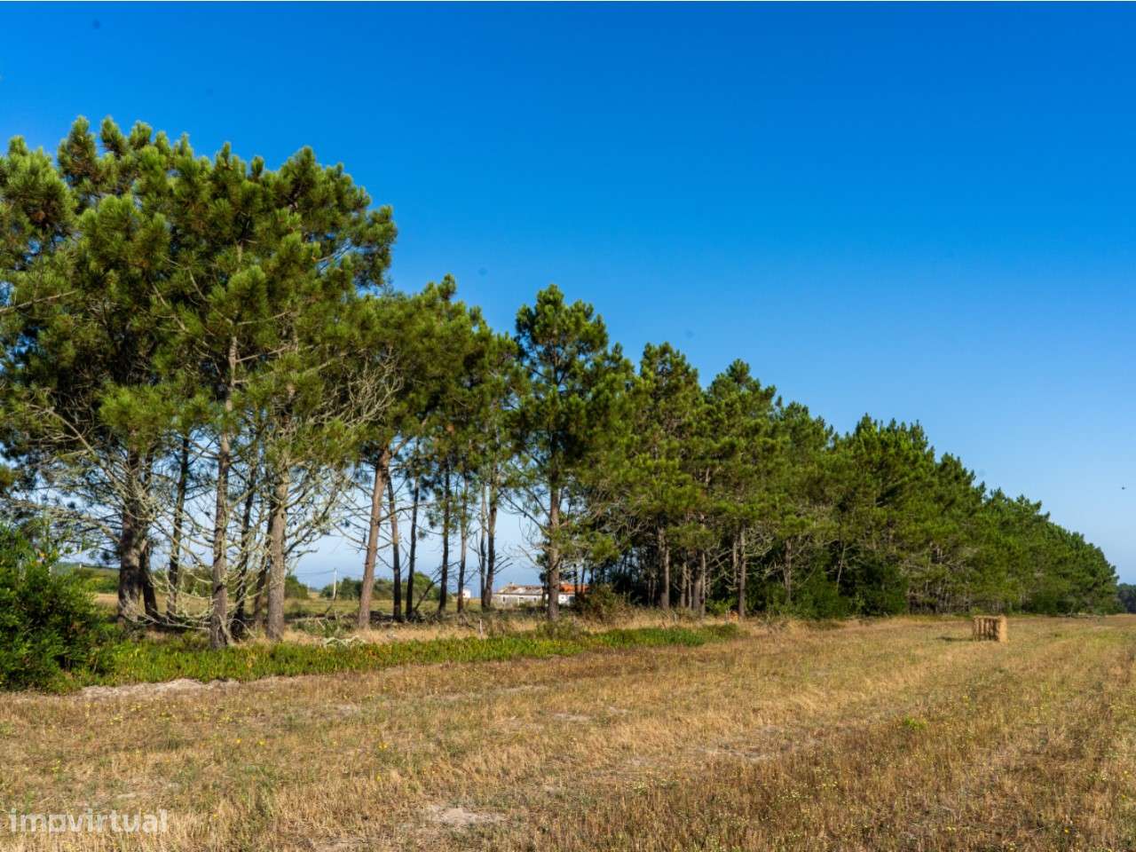 Quintinha T3 Sobranceira ao Mar - Grande imagem: 5/17