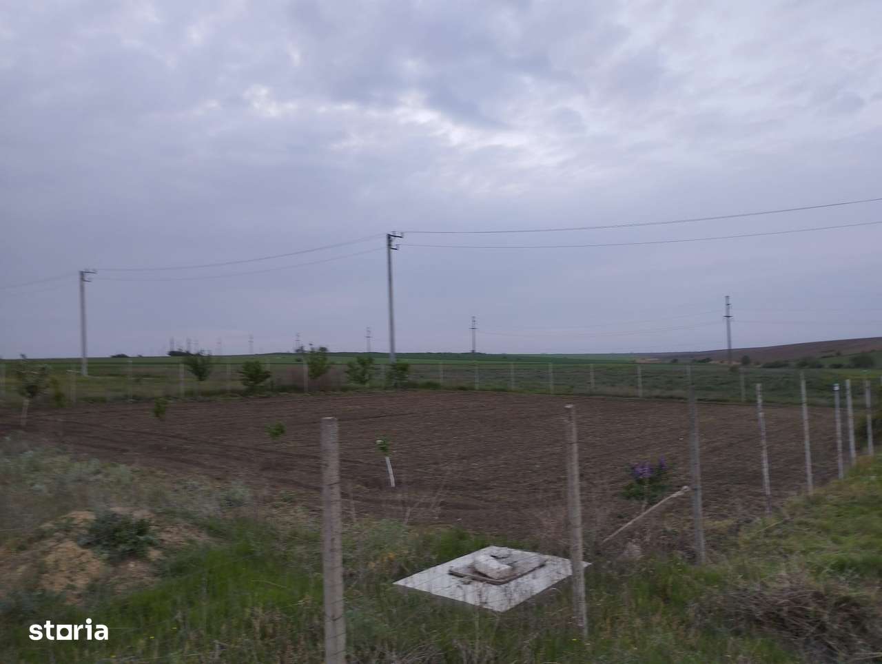 TEREN 800 MP SENDRENI-5