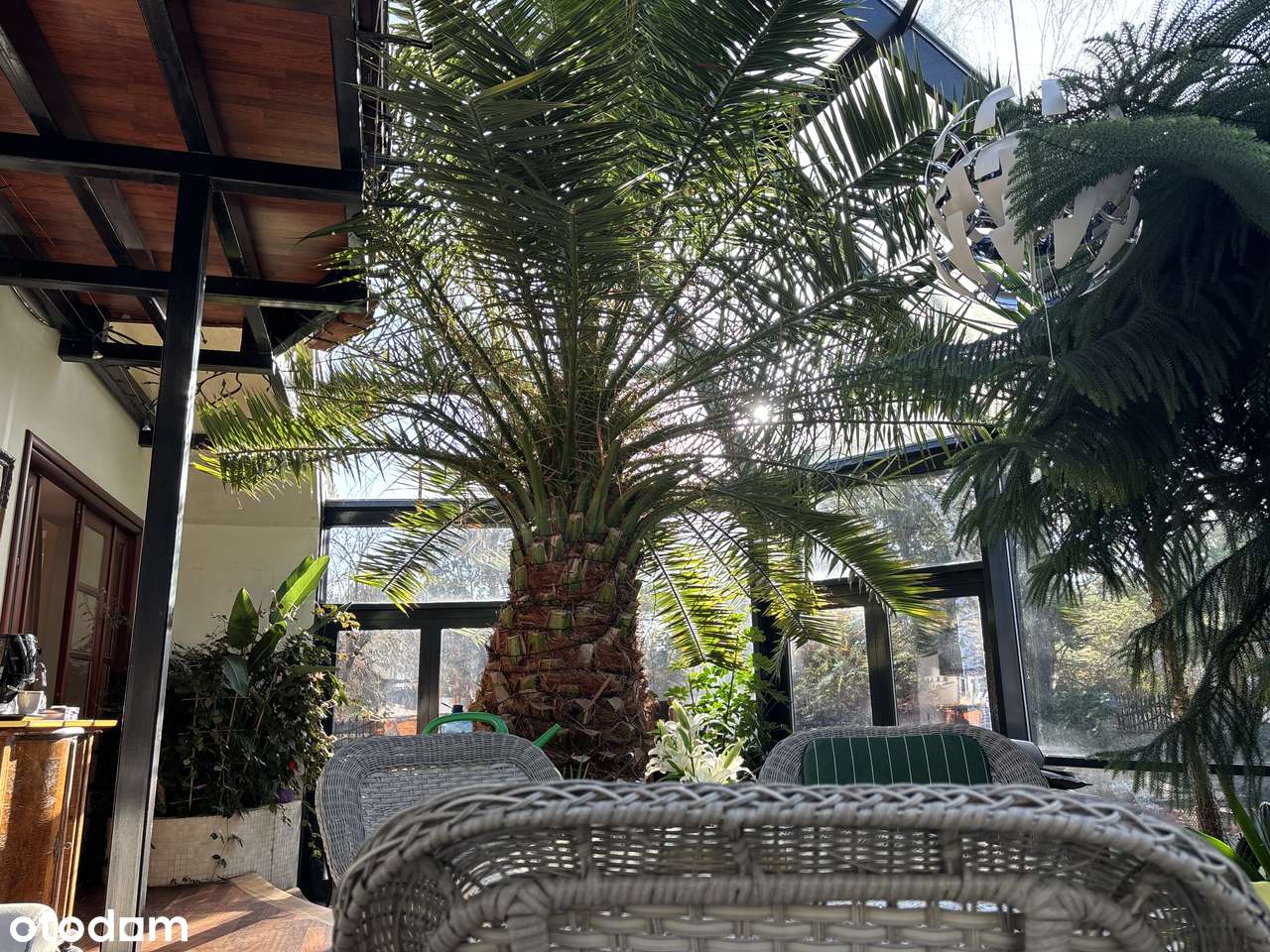 Dom wolnostojący z piękną oranżerią - Nieporęt - blisko plaży i lasu - Pełny obrazek: 3/20