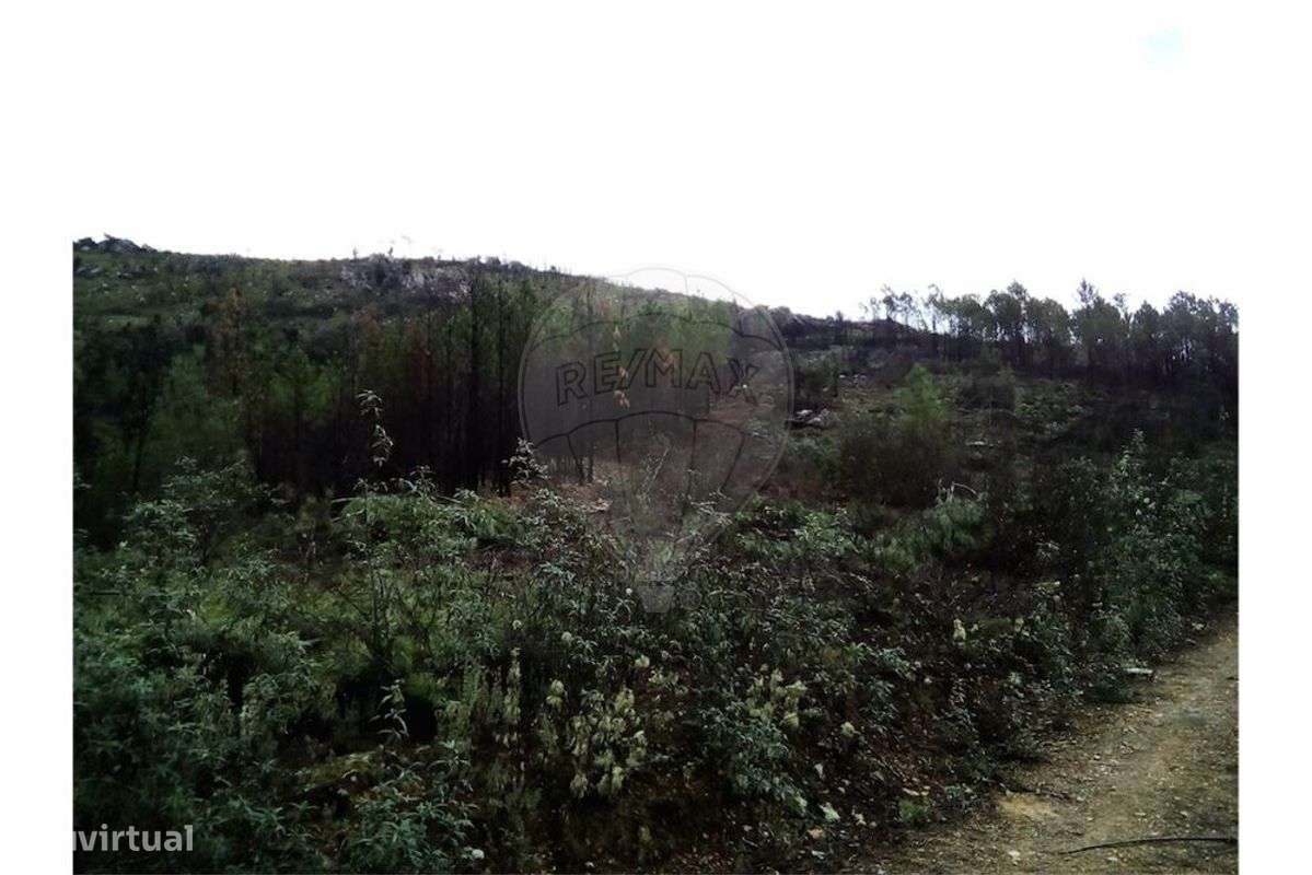 Quinta T0 para venda - Grande imagem: 5/10