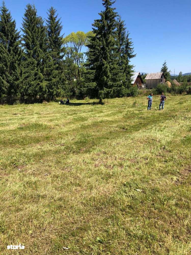 Teren intravilan –Gura Haitii, jud. Suceava - la 27 km de Vatra Dornei - Imagine principală: 3/6