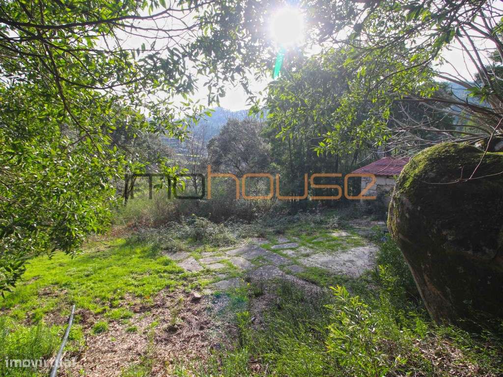 Quinta de 5.6 ha - Varias edificações, ribeiro e vista Douro-19