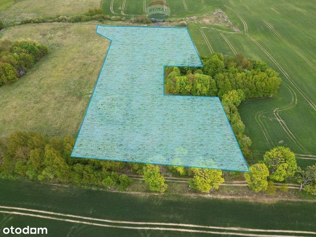 Ziemia rolna na sprzedaż – Dębnik k. Reszla - Pełny obrazek: 3/10