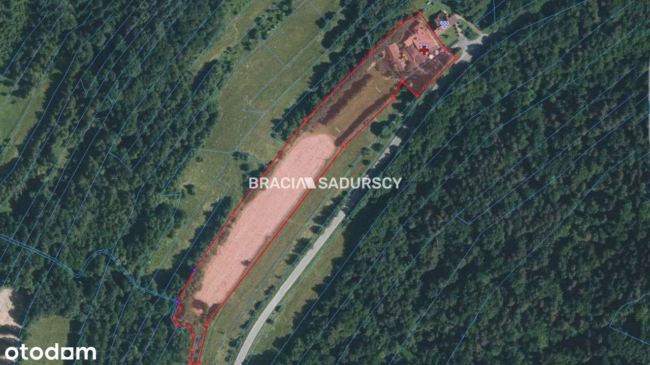 Lokal użytkowy, 820 m², Iwkowa - Pełny obrazek: 4/20