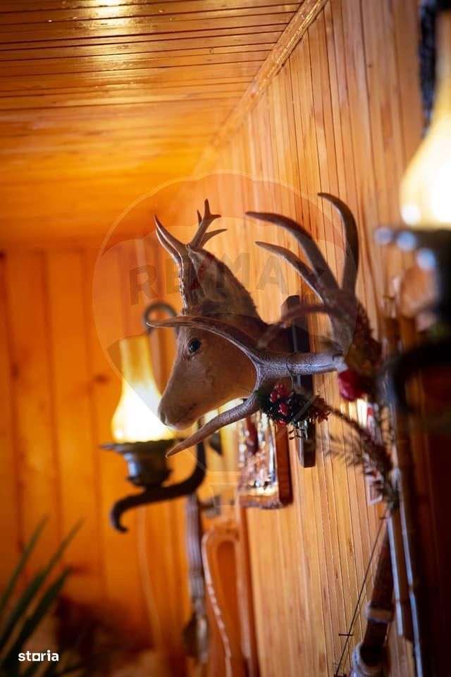 De Vânzare Pensiune Rustica De Vis Pe Ruta Lerești-Voina-19