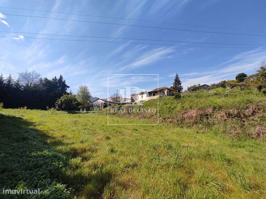 Quinta com 15000m2 em Santo Tirso-13