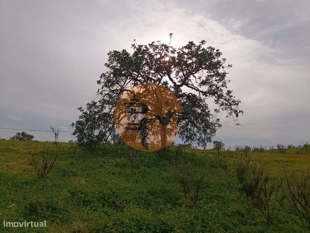 TERRENO COM 34.500 M2 - POSSIBILIDADE DE CONSTRUÇÃO DE ARMAZEM - ÁG... - Grande imagem: 5/44