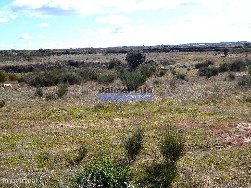 Terreno rústico 32,5ha p/ plantações novas. Portugal, Guarda, Figue... - Grande imagem: 5/6