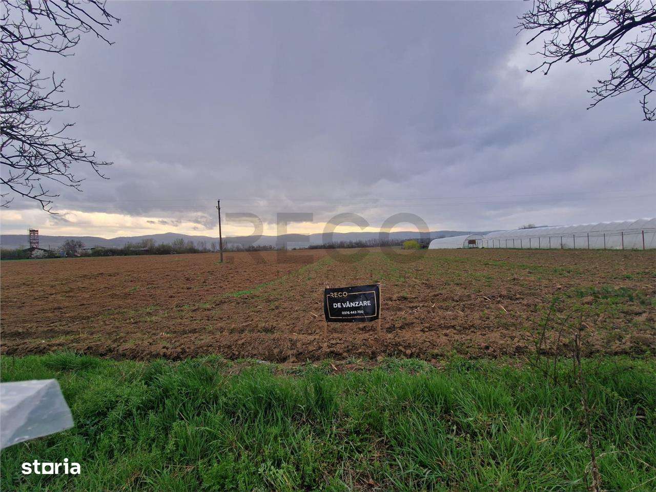 RECO teren intravilan Topa de Cris - Imagine principală: 2/4