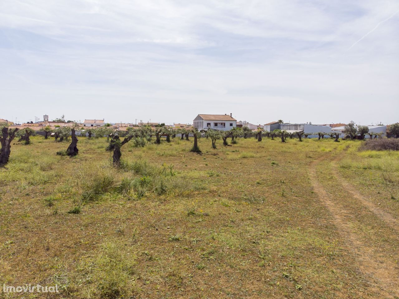 Quinta+Ruína |Venda|ALENTEJO