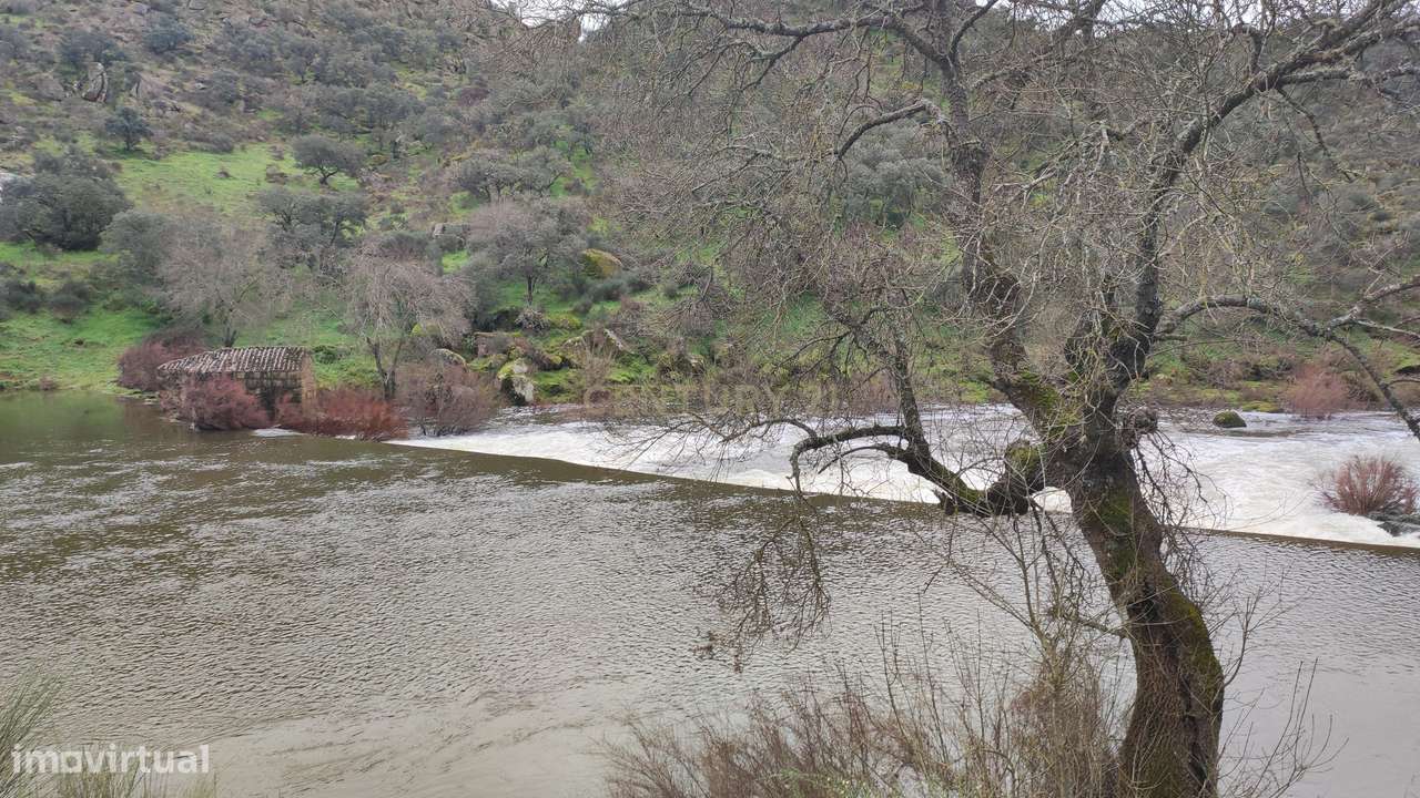 Moradia T5 em Segura, no Parque Natural do Tejo Internacional-40