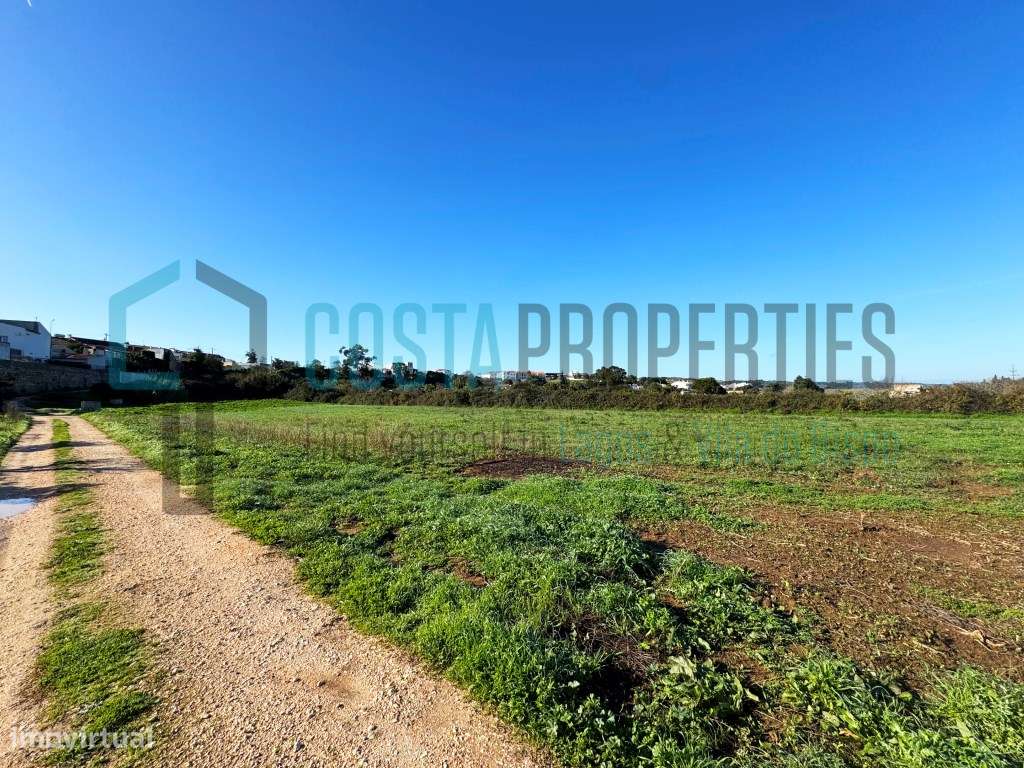 Terreno Rústico com 6.120 m² - Cultura Arvense de Regadio | Odiáxere - Grande imagem: 5/12