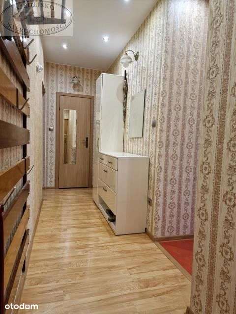 Parter, dwa pokoje, duży taras, duża piwnica-12