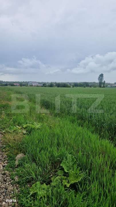 Teren pentru casa intravilan , 800 mp deschidere la drum Bod - Imagine principală: 4/6