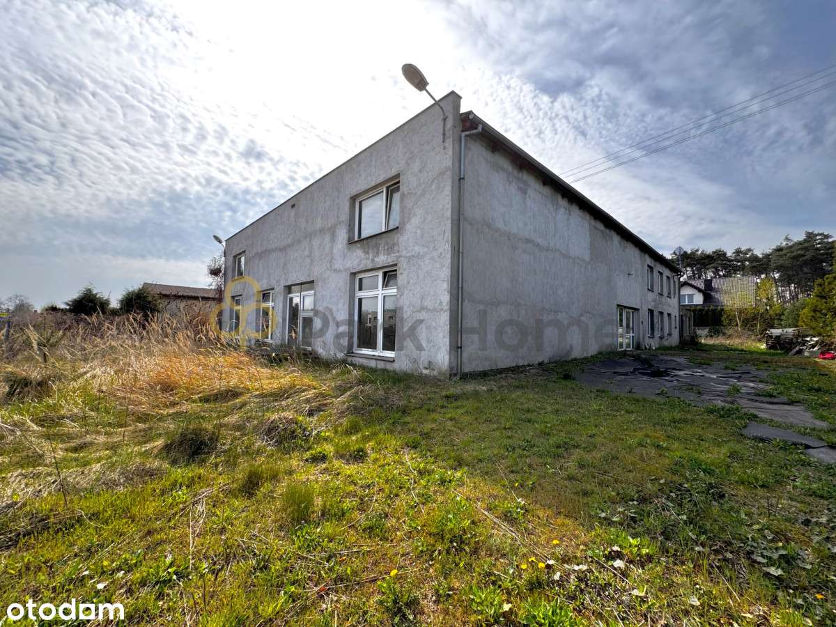 493218 - Pełny obrazek: 5/10