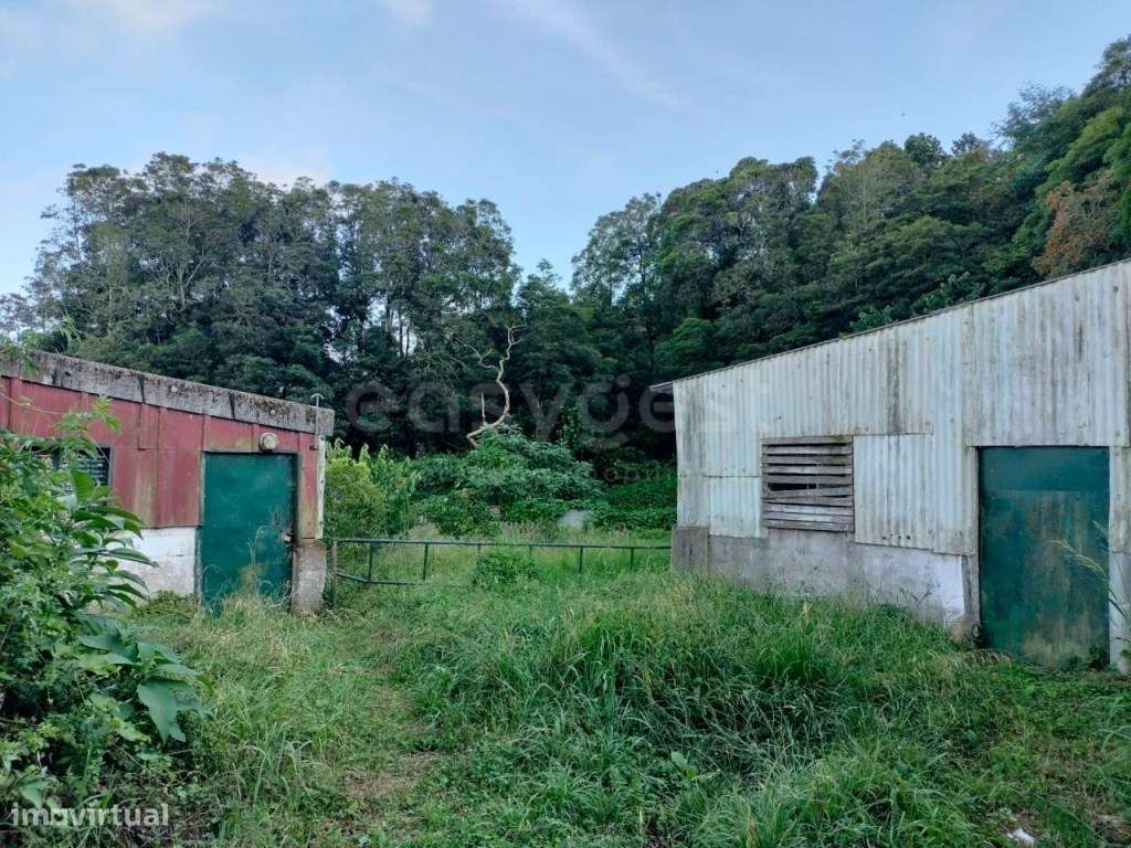 Invista no Campo - Terreno Ideal para Exploração Agrícola e Suína - Grande imagem: 4/22