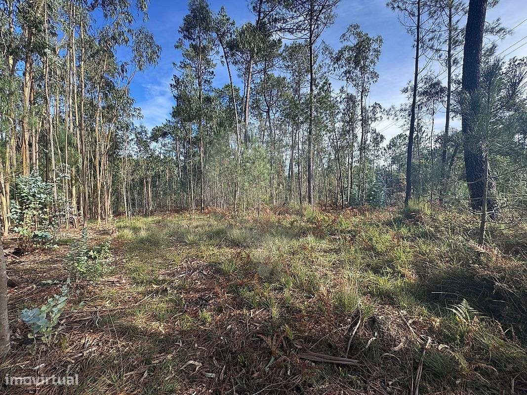 Terreno  para venda - Grande imagem: 5/5