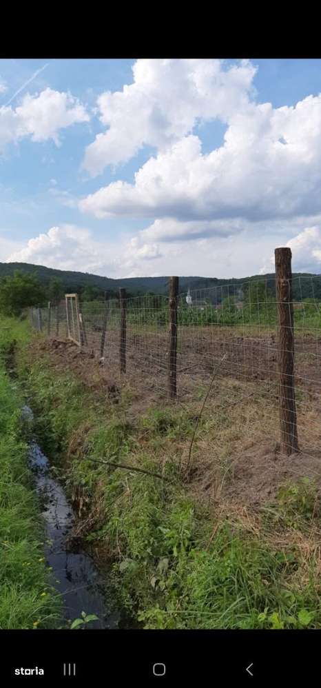 Vand teren intravilan foarte mare in Loc. Odvos Jud. Arad,4305 0 - Imagine principală: 1/13