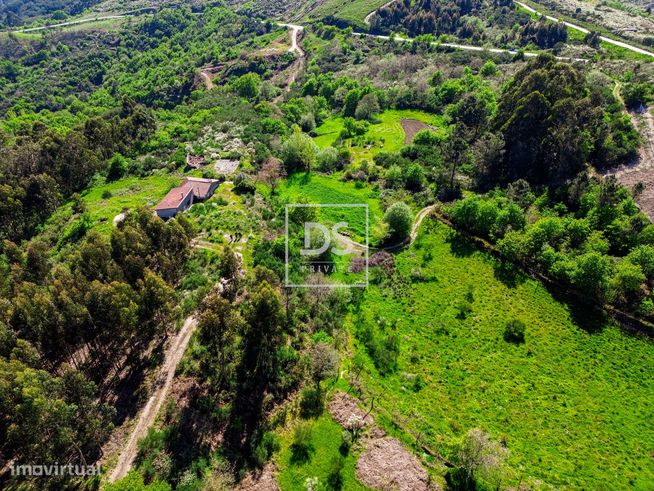Quinta de sonho em Baião, Grilo.-8