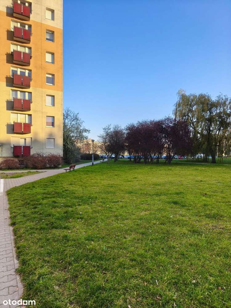 Mieszkanie na sprzedaż Winogrady-3