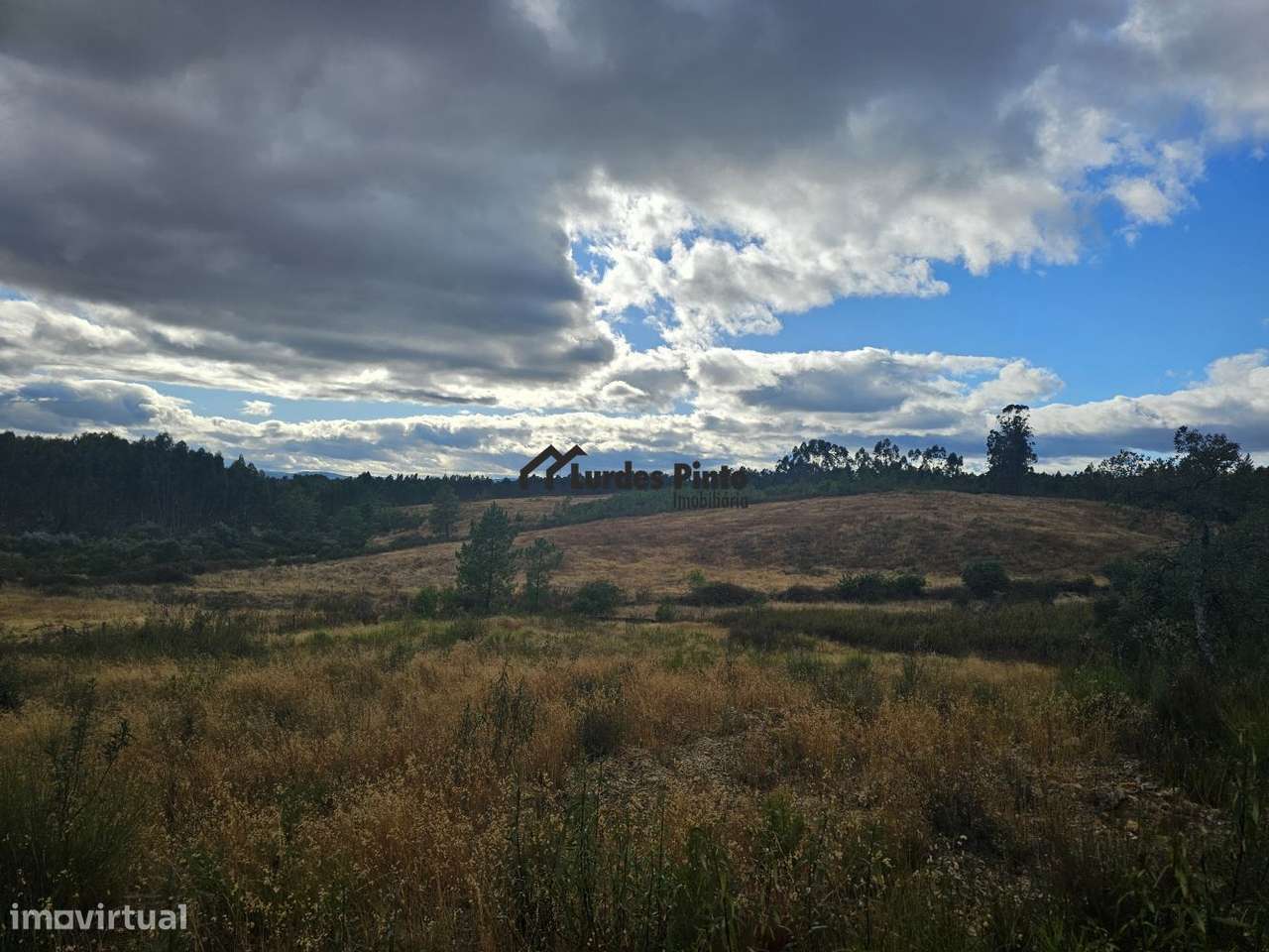 Terreno com 7.500m2-8