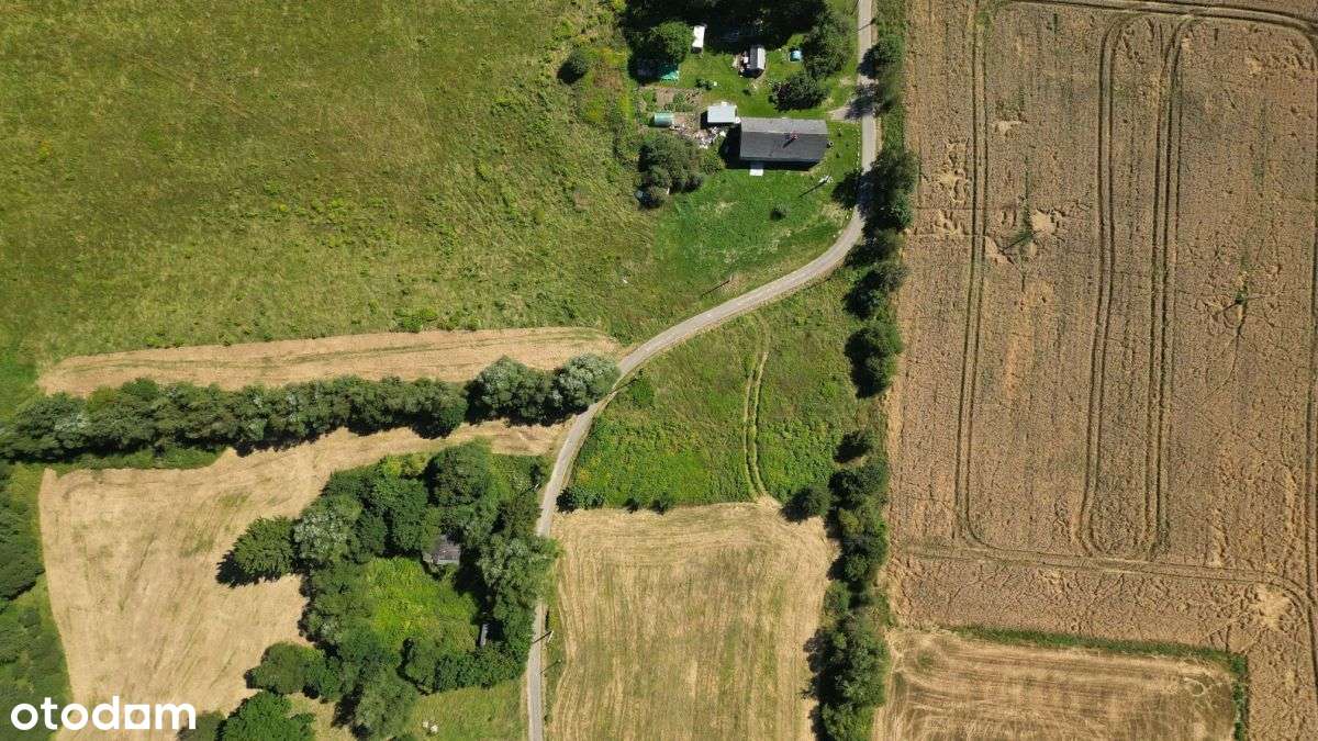 Pogórze Izerskie - Działka Siedliskowa+Rola-10