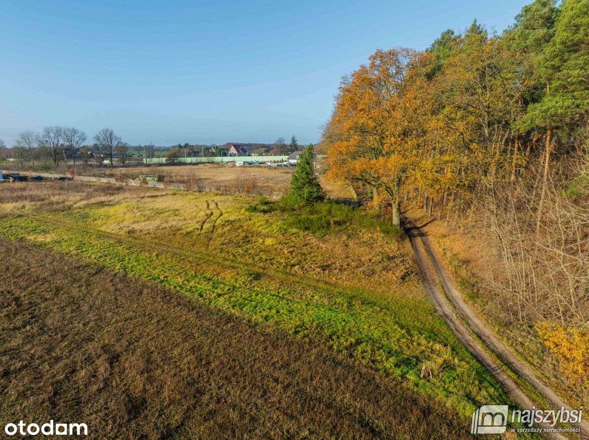 Nowogard - obrzeża, miejscowy plan - Pełny obrazek: 3/20