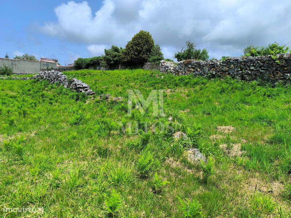 Venda de 2 terrenos para construção - Afife - Grande imagem: 5/15