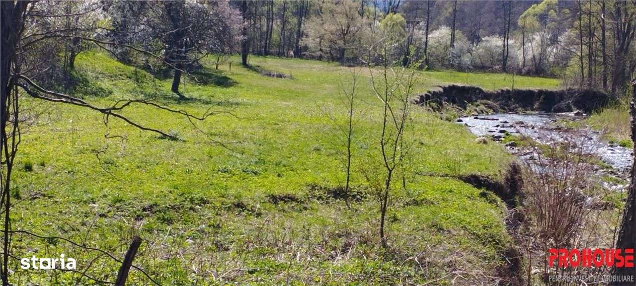 Slanic Moldova - teren 2.148 mp - Imagine principală: 3/3