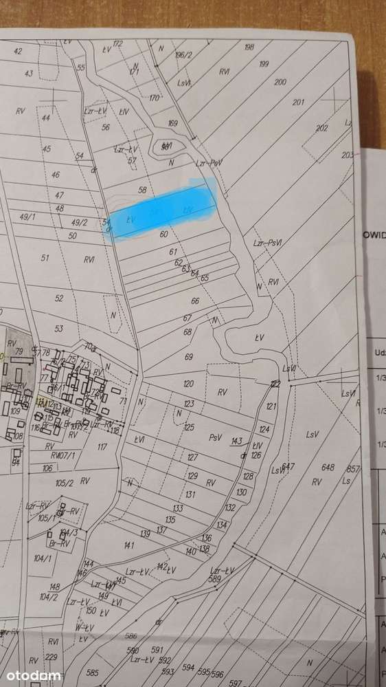 Działka 8000 m² w pobliżu lasu i jeziora - Pełny obrazek: 4/4