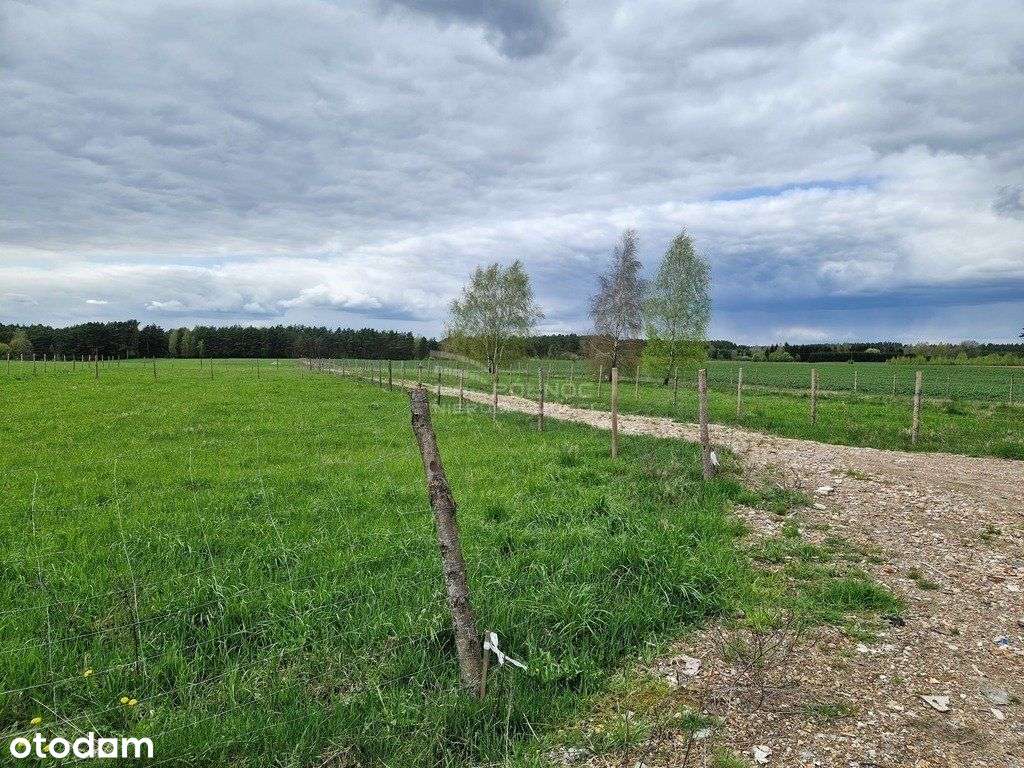 Henrykowo – Raj wśród zieleni, spokój i natura-12